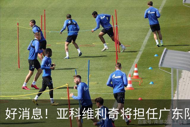 好消息！亚科维利奇将担任广东队新任主教练